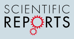 Scientific Reports